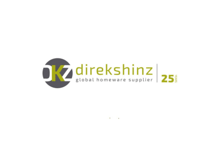 Direkshinz Logo